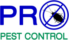 Böcekten Korkmaz – ProPest Control Dezenfeksiyon ve Böcek İlaçlama